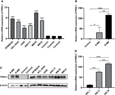 Frontiers | PIWIL1 Drives Chemoresistance In Multiple Myeloma By ...